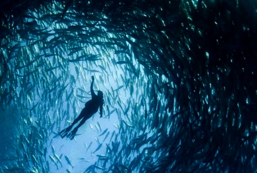 Eyaculación precoz Valencia | Clínica Miralles